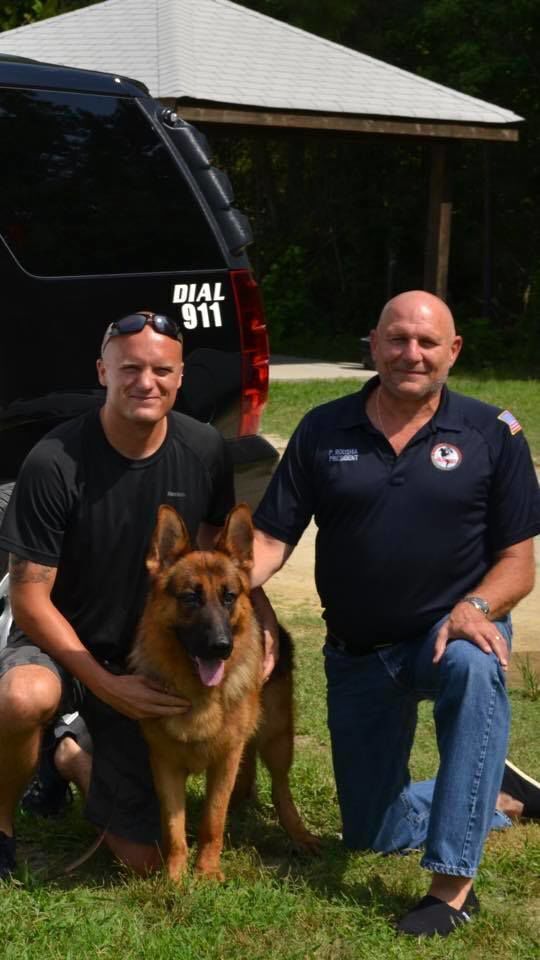 Dozer and company